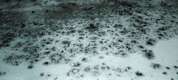 Common Housing Defects