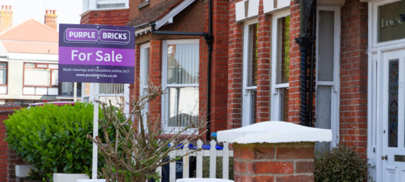 Purple Bricks for Sale Board