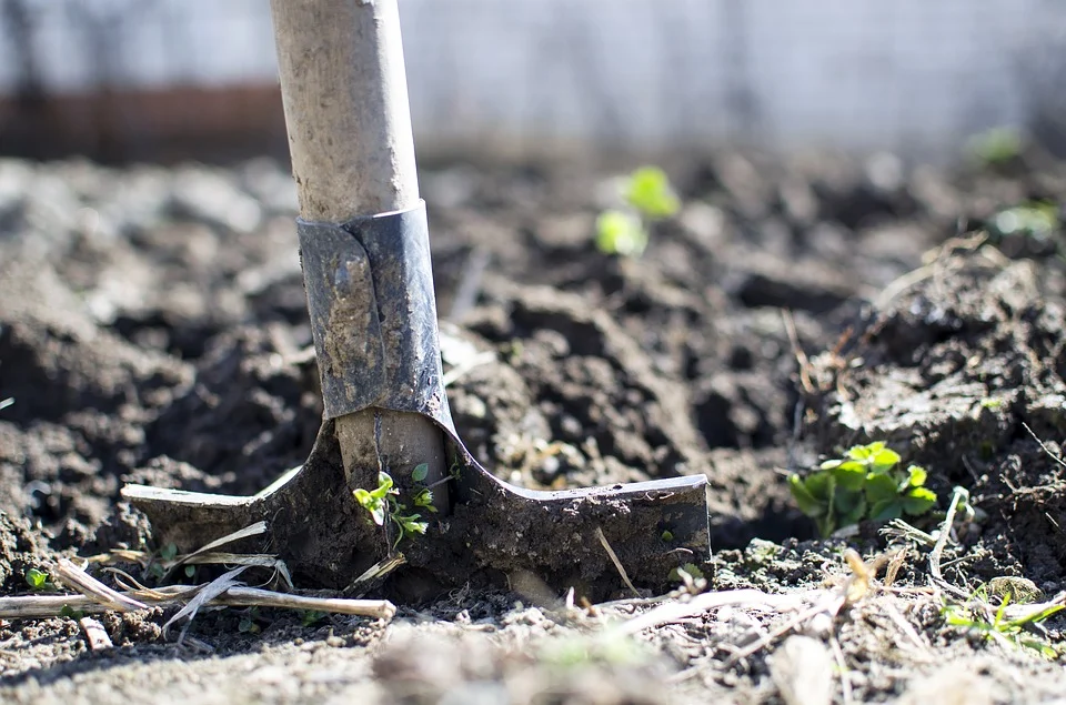 shovel in dirt