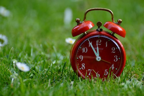 clock on grass