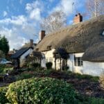 thatched roof house 