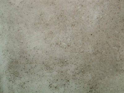 mould on wall