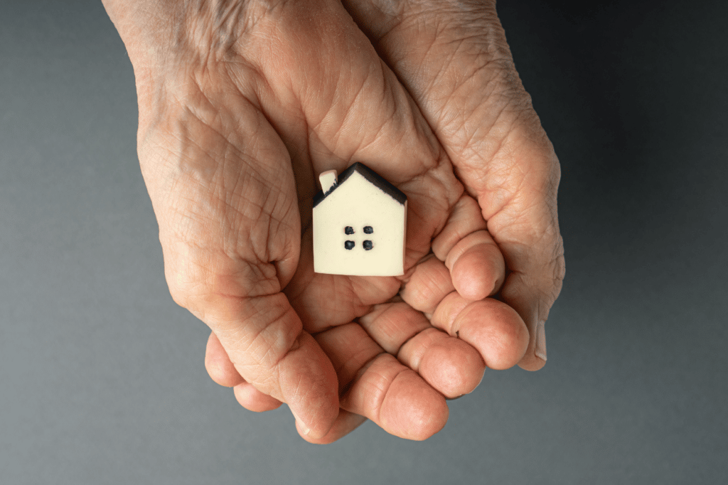 hands holding a house