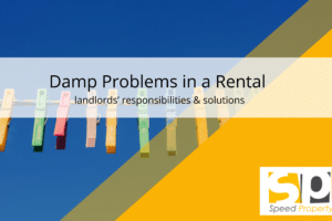 Damp Problems in a Rental